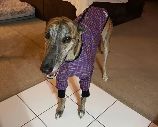 Why Greyhounds (and Their Humans) Love Our Purple Tee!
