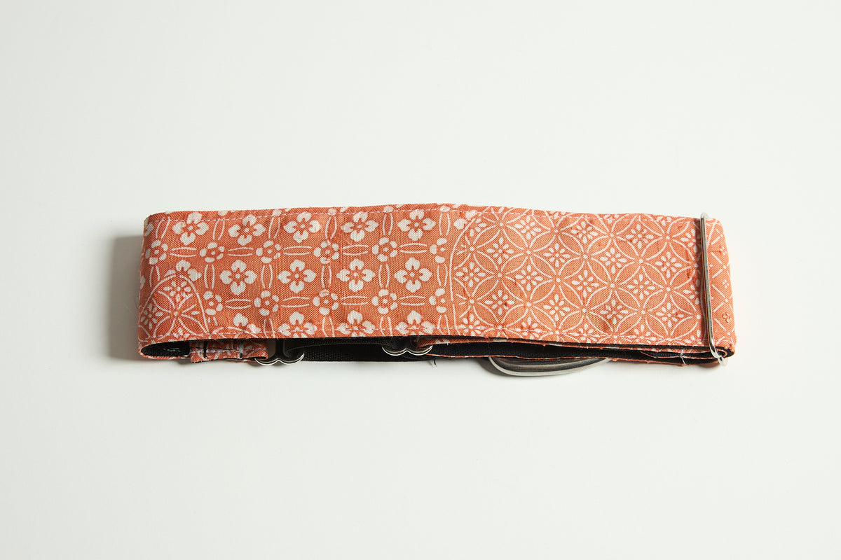Sora - Martingale Collar
