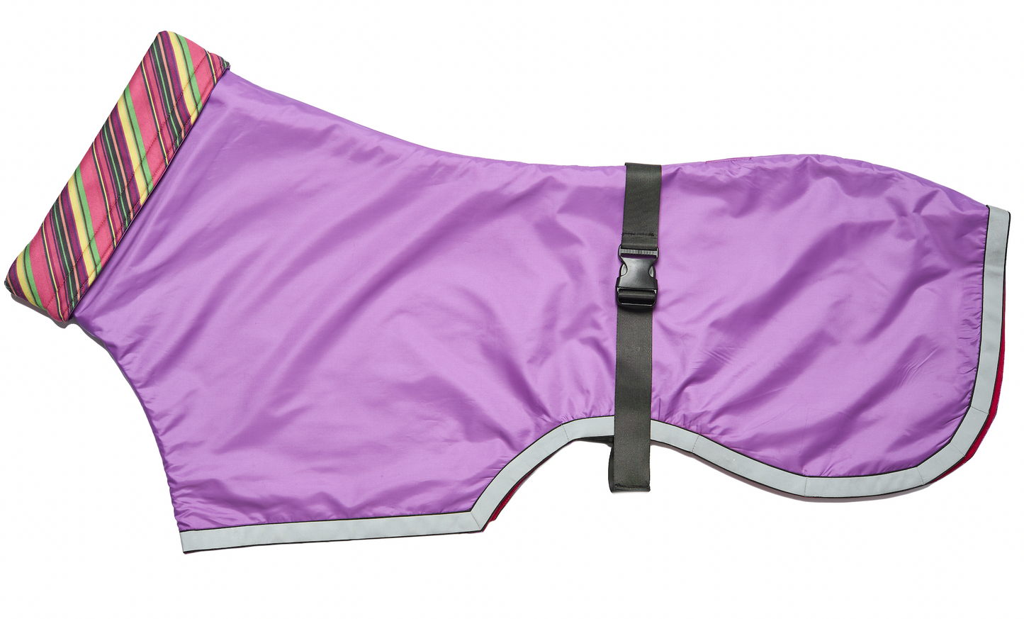 Purple Raincoat