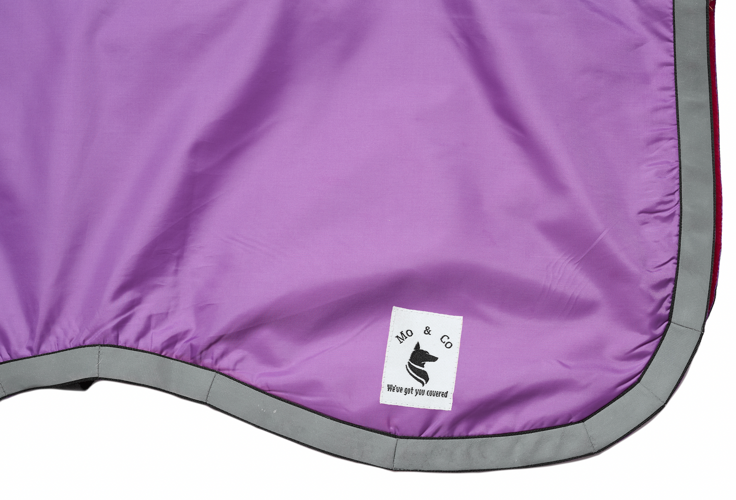 Purple Raincoat