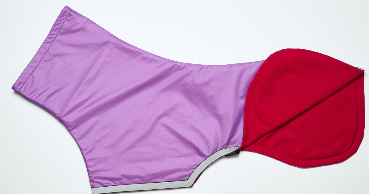Purple Raincoat