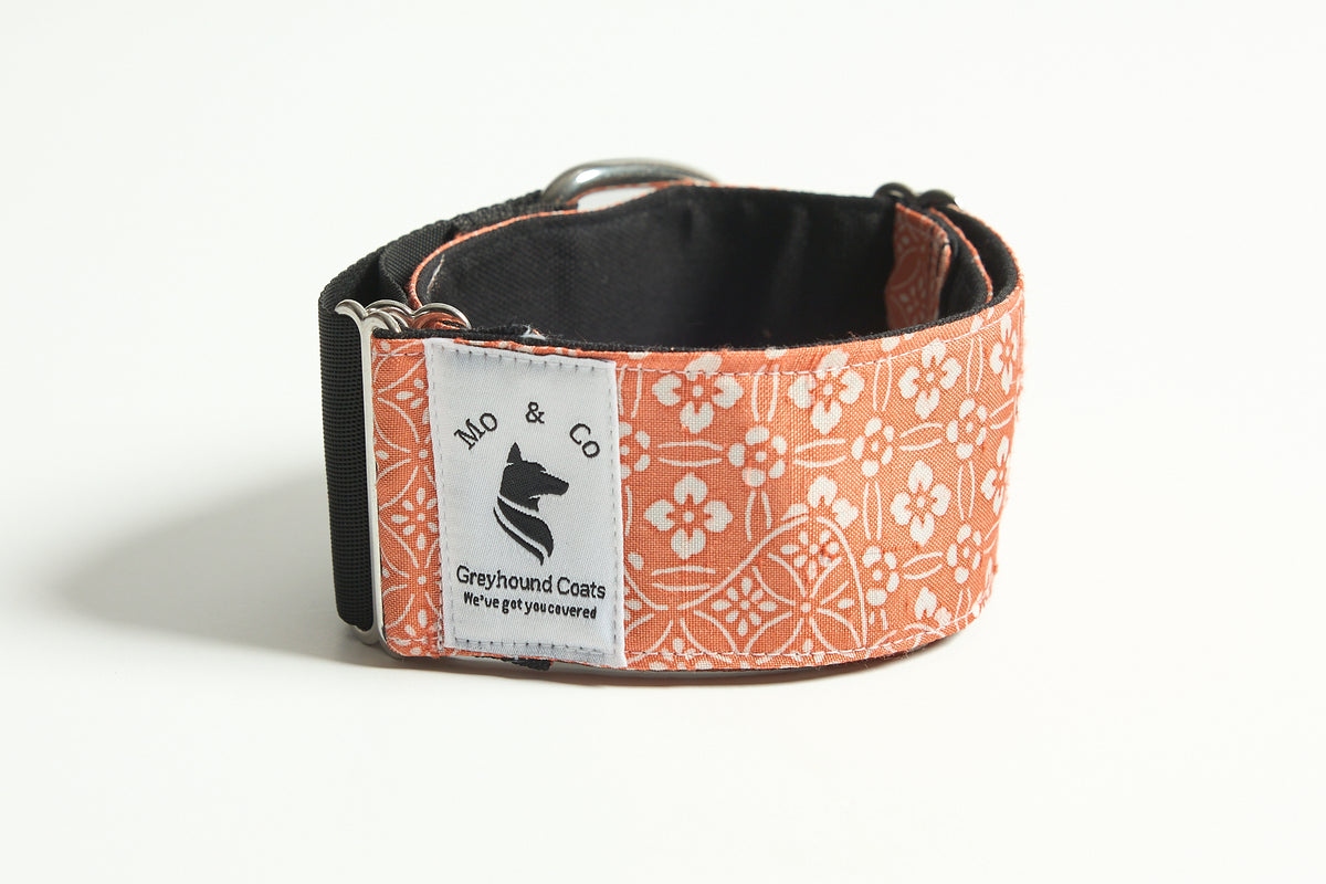 Sora - Martingale Collar