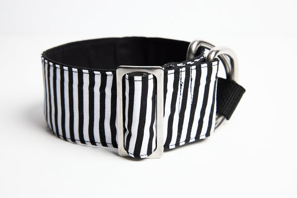 Walk This Way - Martingale Collar