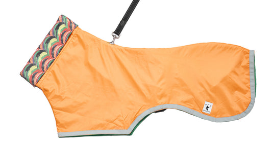 Orange Raincoat