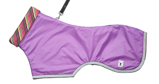 Purple Raincoat