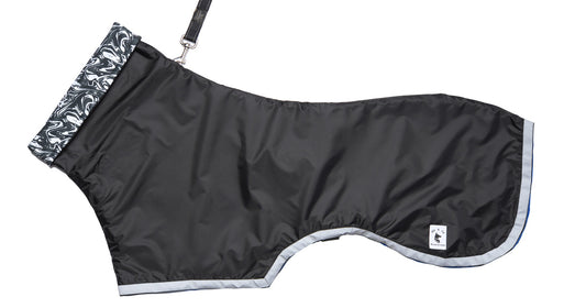 Black Raincoat